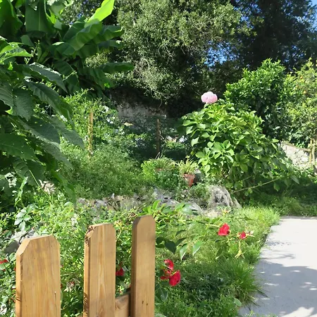 Holiday home La Casita