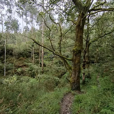 La Casita De Llanes Parres Nyaraló *