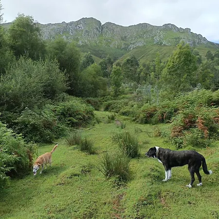 La Casita De Llanes Parres Parres de Llanes