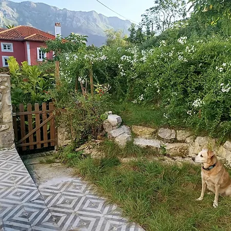 La Casita De Llanes Parres Nyaraló Parres de Llanes